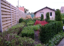 Project Malle buxus en taxus