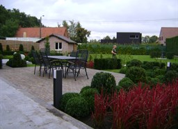 Project Malle buxus en taxus