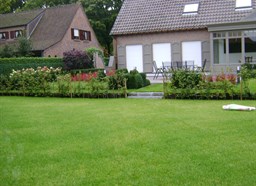 Project Malle buxus en taxus