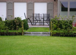 Project Malle buxus en taxus