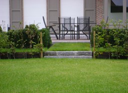 Project Malle buxus en taxus