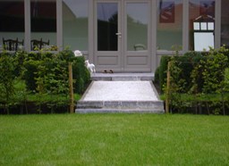 Project Malle buxus en taxus