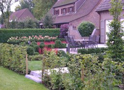 Project Malle buxus en taxus